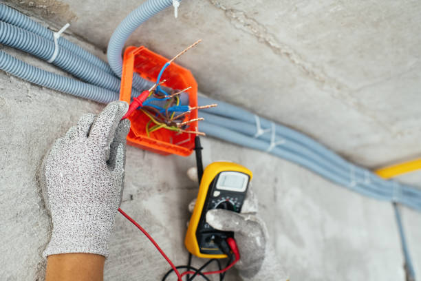 Best Electric Panel Repair  in Long Creek, IL